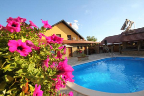 Guest House Vila Alexandar